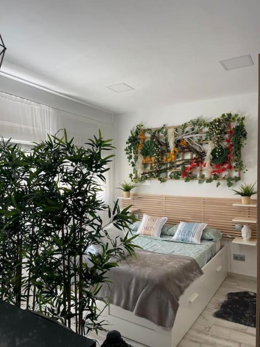 Casa Maui Marbella
